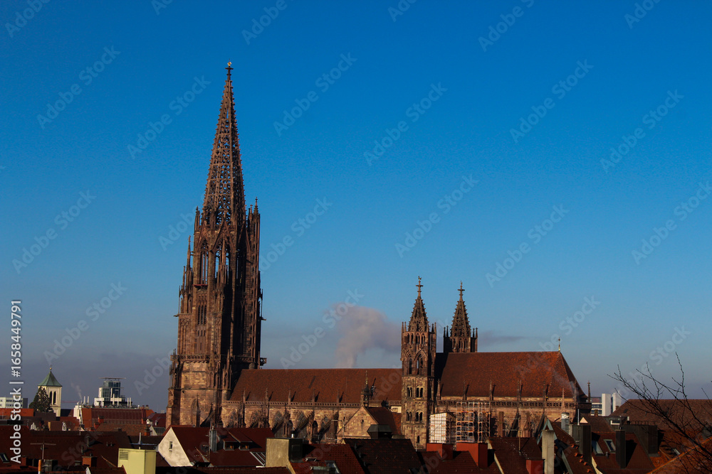 Naklejka premium cathedral in germany as seen from the hill