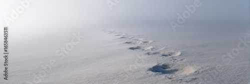 Footprints in sand leading into fog create mysterious atmosphere