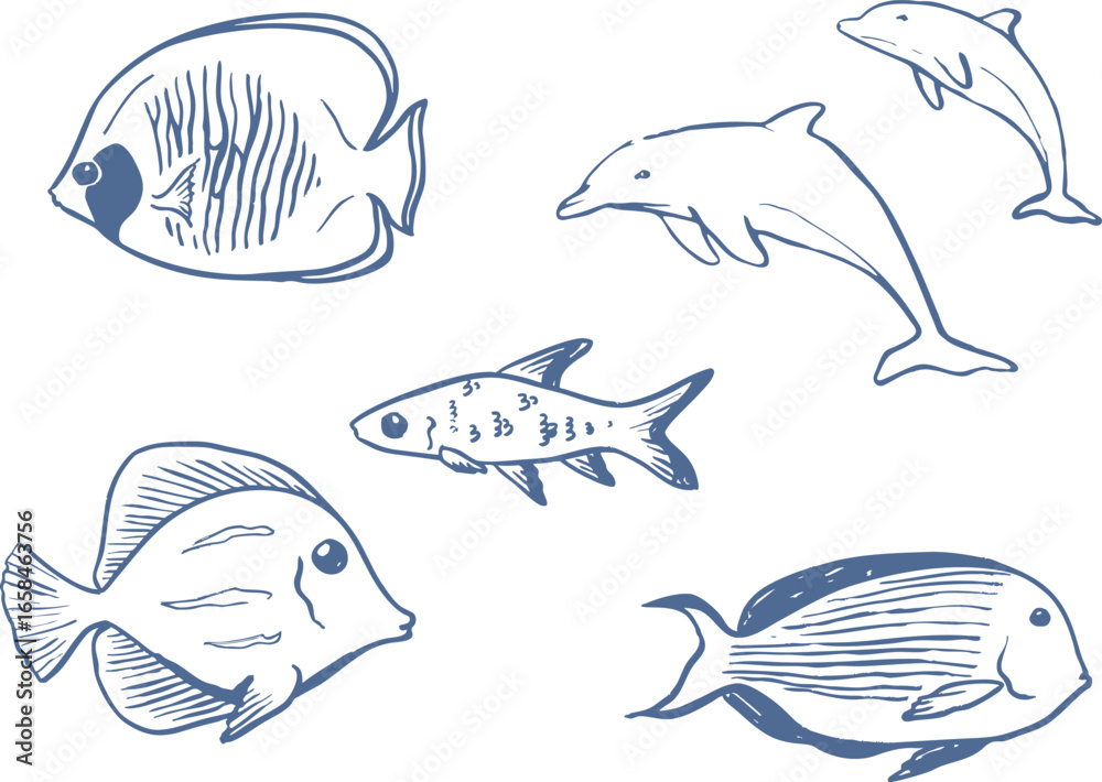 Obraz premium Hand drawn tropical fish set. Underwater world doodles. Marine drawings. Ink elements. Vector illustration isolated on white background.