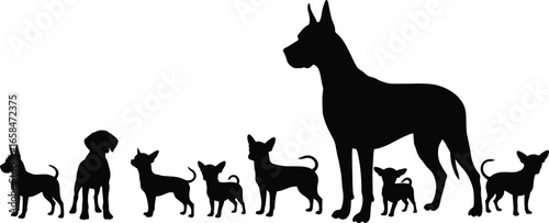 Great Dane and Chihuahua dog family, silhouettes, varying sizes, dogs of different breeds, animal family, pets, dog breed hierarchyGreat Dane and Chihuahua 