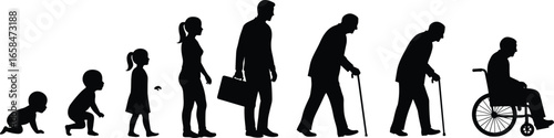 Human life cycle silhouettes, stages of life, aging process, development, childhood to old age, human evolution, aging  life cycle silhouettes, stages of life, aging process, development, 