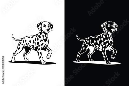 Dalmatian  icon vector on White Background ,Vector Art Illustration on white background.