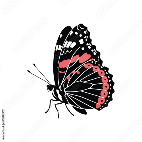 Red Admiral Butterfly icon vector on White Background ,Vector Art Illustration on white background.