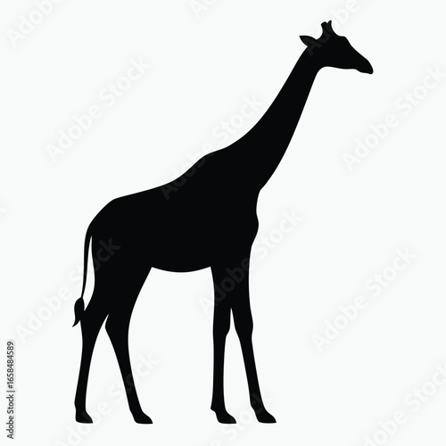 Giraffe Silhouette Black Vector Minimalist Animal Outline Design