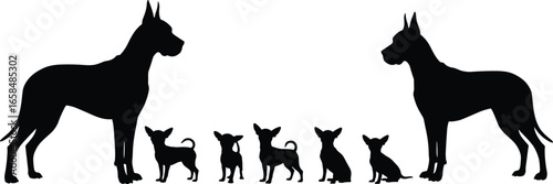WebGreat Dane and Chihuahua dog family, dog silhouettes, different sizes, animal family, pets, canine, breed differences, dog breeds, family of dogs, pets  