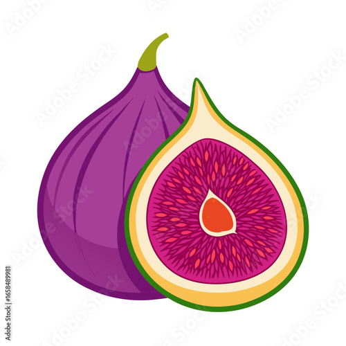 vector illustration of a grapefruit