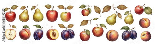 A vibrant display of hand-painted fruits including apples, pears, and plums with green leaves.