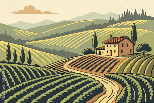 Italian tuscan landscape with vineyard and farmhouse