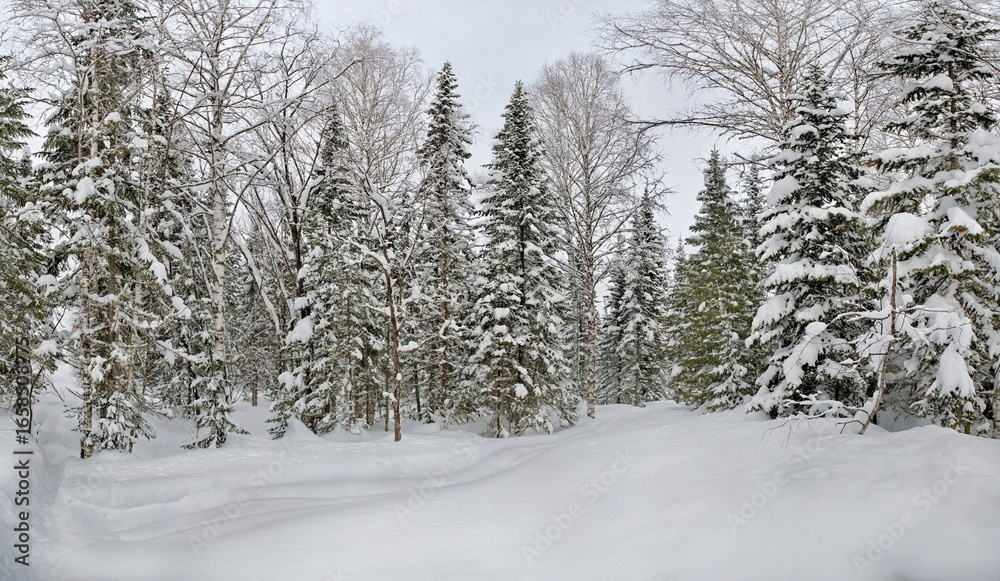 Russia. Kuznetsk Alatau. Winter view of the holiday village of Borisovka among the snow-covered impassable taiga on the banks of the Tom River. Russia. Kuznetsk Alatau. Winter view of the holiday village of Borisovka among the snow-covered impassable taiga on the banks of the Tom River.