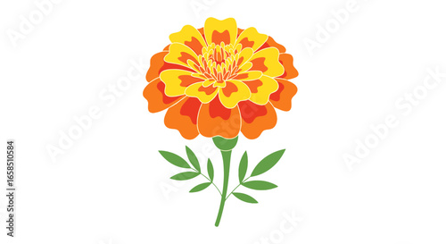 Illustration of a marigold flower with orange and yellow petals and green stem and leaves design artful on transparent background