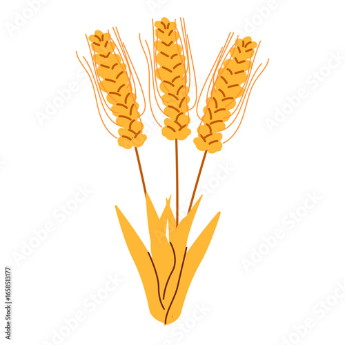 Golden wheat stalks illustration with leaves in flat design.