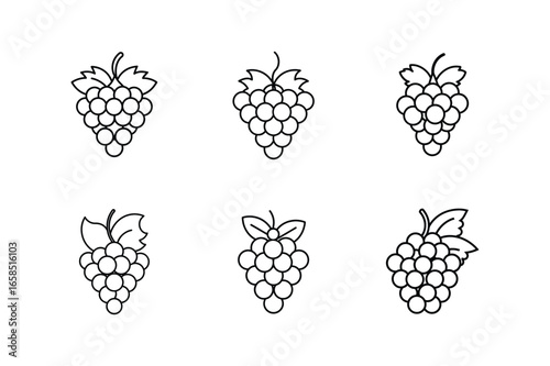 wine festival grapes line art vector illustration