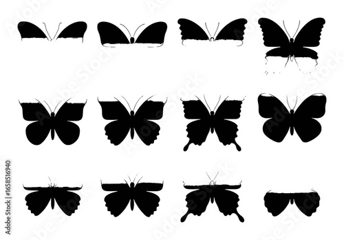 Collection of black silhouette butterfly wing shapes in various stages of completion wings