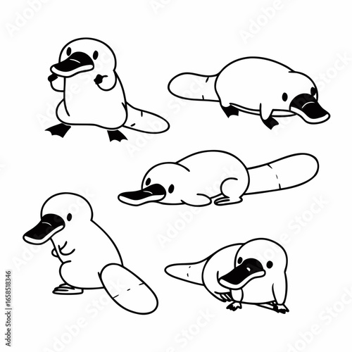 Cute platypus cartoon set isolated on white background, adorable australian animal vector illustration