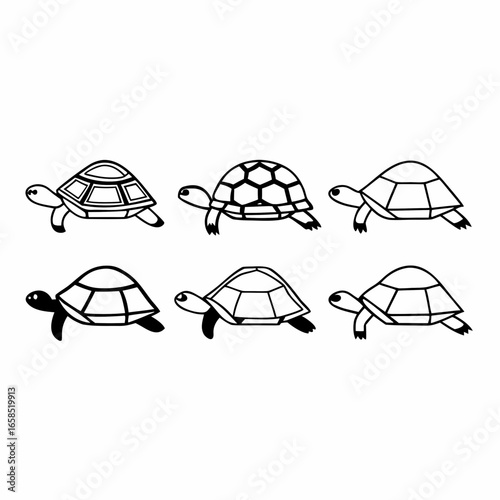 Illustration of six turtles with different shell patterns isolated on white background