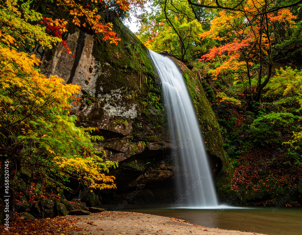 Fototapeta premium Waterfall in Autumn Forest: Cascading Water and Colorful Foliage