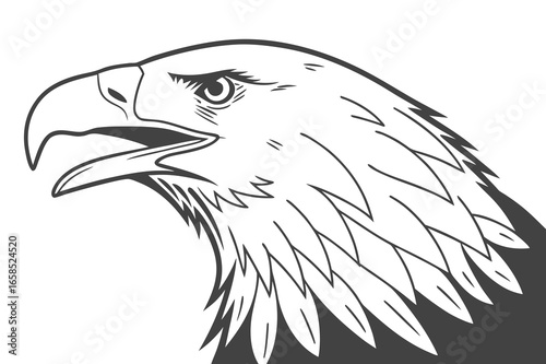 Bald Eagle Head: A Majestic Bird Vector Illustration