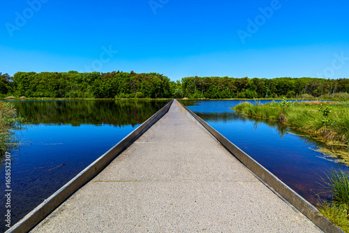 Cycle path through water with leafy trees against blue sky, crossing pond, getting lost in background, depth perspective, reflection in water surface, Bokrijk in Genk, Belgium