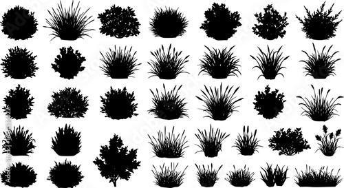 set of bush grass shrub herb silhouette vector transparent background eps 10
