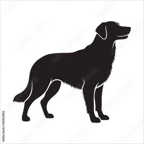 Dog silhouette vector Illustration:  Alert, Muscular Canine Standing on Rocky Ground, Vintage Style.