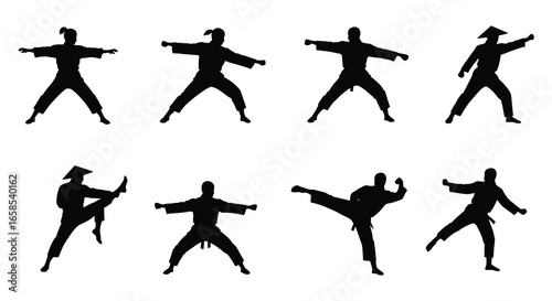 Silhouette of various martial arts poses and stances in black