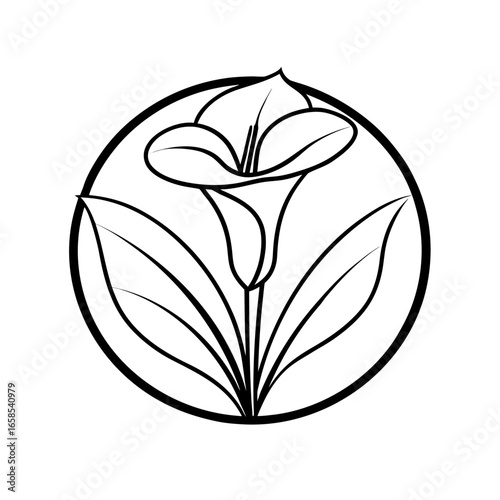 calla lily flower icon