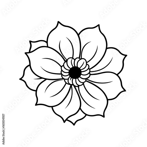  anemone flower line art