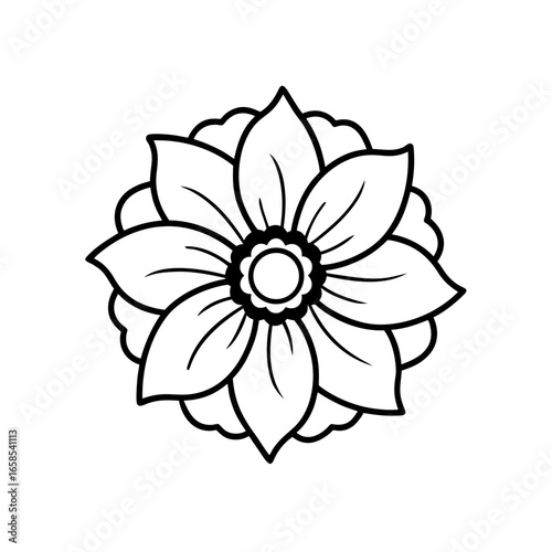 anemone flower 