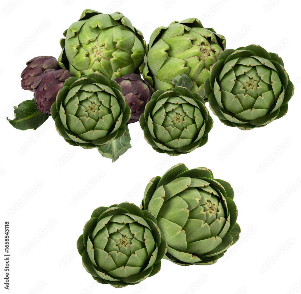 Fototapeta premium fresh green and purple artichokes on a transparent background