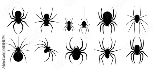 Collection of Black Spider Silhouettes on a White Background Keywords: spider, silhouette, insect, arachnid, creepy, scary, halloween, pest, bug