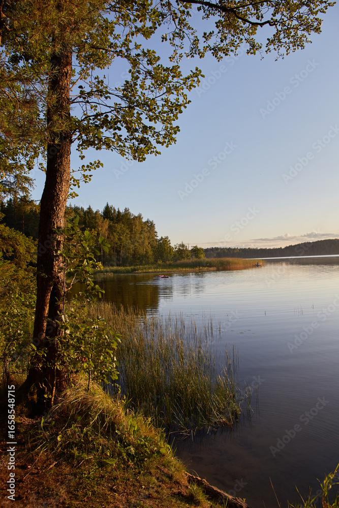 Fototapeta premium sunset on the lake. Belarus