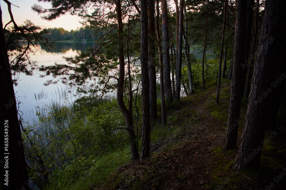 Fototapeta premium sunset on the lake