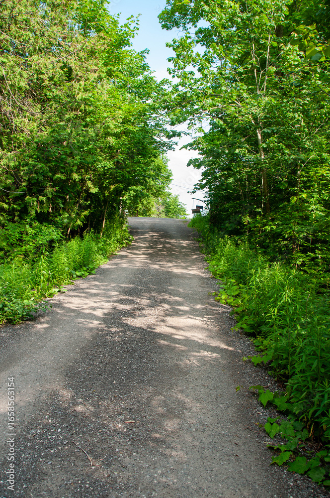 Fototapeta premium A rural dirt and gravel single lane road, going uphill through a dense, lush green forest. Two old mailboxes are seen in the distance on the side of the country road.