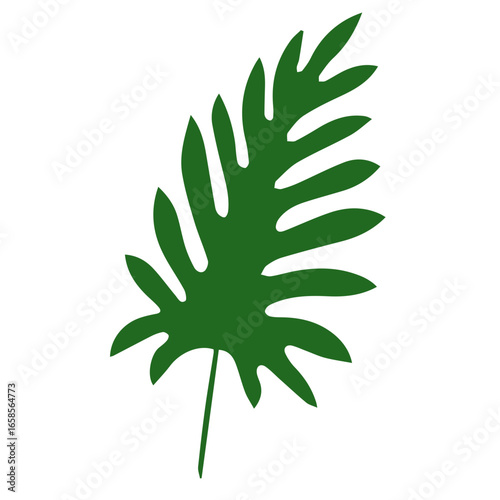 green plant leaf isolated on white