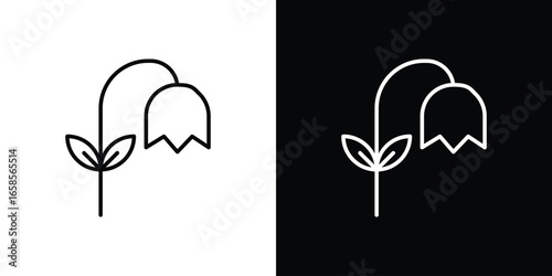 Line Art Flower Illustration Isolated on White and Black Backgrounds