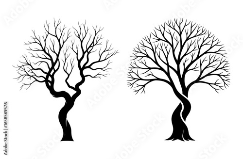 Vector art of two bare trees with twisted trunks and branches