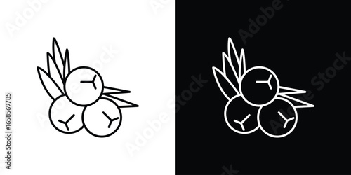 Juniper Berries Illustration in Line Art Style Isolated on White Background