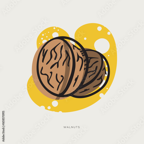 Walnuts, freehand-style drawing in Doodle style.
