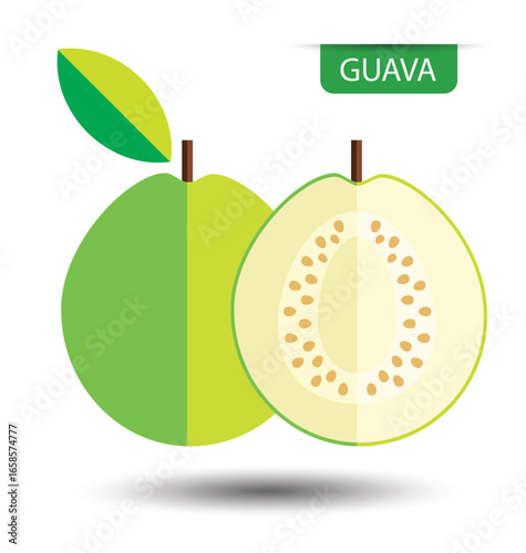 Guava, fruit vector illustration