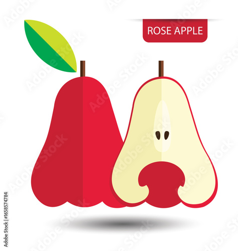 Rose apple, fruit on white background. Flat design style. vector illustration.