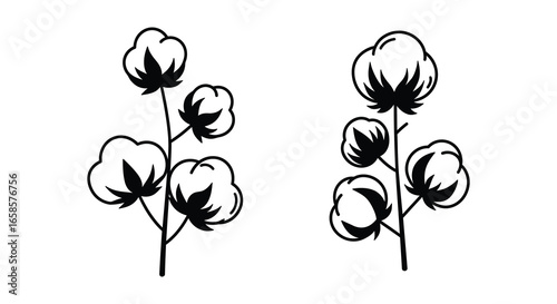 Black and white illustration of two cotton plants with fluffy bolls