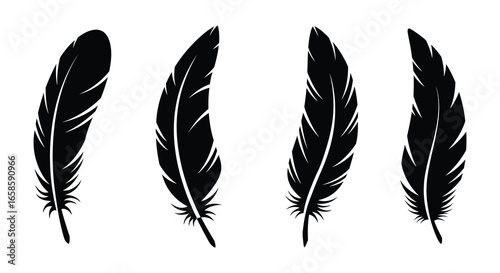Four black feather silhouettes on a white background in different orientations