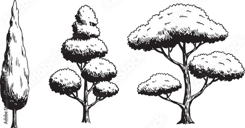 Three Different Shaped Trees Illustration Graphic Design Black with Transparent Background