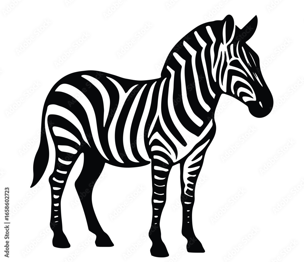 Obraz premium A zebra is drawn on a white background