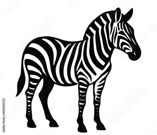 A zebra is drawn on a white background