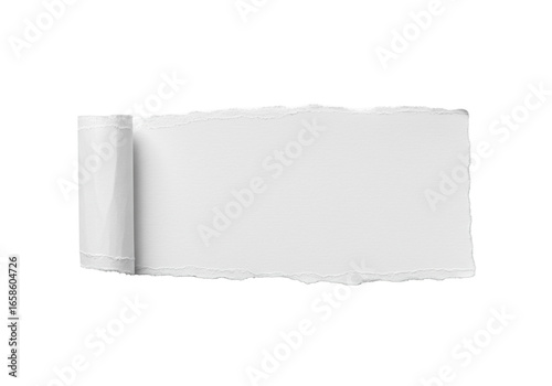 Wallpaper Mural transparent torn paper with rough organic edges, isolated on a transparent background, top-down flat lay, studio lighting with copy space. Concept of new beginnings Torontodigital.ca