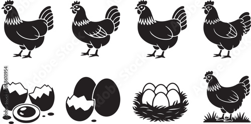 Hen and chicken