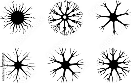 Black neuron cell silhouettes with branching dendrites biology science