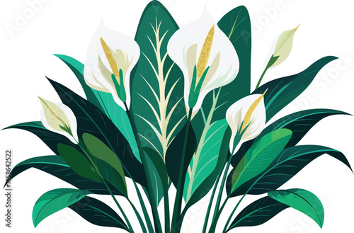 Elegant white peace lily flowers with lush green foliage create a serene botanical composition