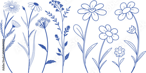 Hand-drawn wildflower illustration with delicate line art blooms and graceful stems. Elegant botanical sketch ideal for patterns, wallpapers, and decorative spring designs. Minimal vintage floral 
